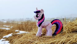 Size: 2048x1185 | Tagged: safe, photographer:pakapaka1993, twilight sparkle, alicorn, pony, g4, irl, japan, photo, plushie, snow, solo, twilight sparkle (alicorn)