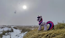 Size: 2048x1214 | Tagged: safe, photographer:pakapaka1993, twilight sparkle, alicorn, pony, g4, irl, japan, photo, plushie, snow, solo, twilight sparkle (alicorn)