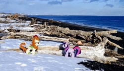 Size: 2048x1174 | Tagged: safe, photographer:pakapaka1993, autumn blaze, twilight sparkle, alicorn, kirin, pony, g4, duo, irl, japan, photo, plushie, snow, twilight sparkle (alicorn)