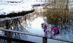 Size: 2048x1204 | Tagged: safe, photographer:pakapaka1993, twilight sparkle, alicorn, pony, g4, irl, japan, photo, plushie, reflection, river, solo, twilight sparkle (alicorn), water