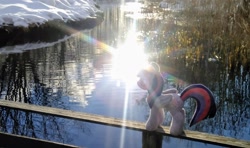 Size: 2048x1211 | Tagged: safe, photographer:pakapaka1993, twilight sparkle, alicorn, pony, g4, irl, japan, photo, plushie, reflection, river, solo, twilight sparkle (alicorn), water