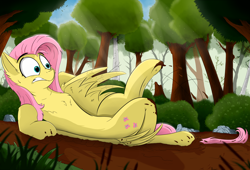 Size: 3300x2250 | Tagged: safe, artist:rapid9, fluttershy, pegasus, pony, g4, belly, chest fluff, concave belly, crepuscular rays, everfree forest, female, forest, grass, high res, leaf, lying down, mare, mud, on back, scary, solo, tree