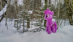 Size: 2048x1176 | Tagged: safe, photographer:pakapaka1993, berry punch, berryshine, earth pony, pony, g4, irl, japan, photo, plushie, snow, solo, tree, winter