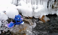 Size: 2048x1217 | Tagged: safe, photographer:pakapaka1993, princess luna, pony, seapony (g4), g4, icicle, irl, japan, photo, plushie, race swap, rock, seaponified, seapony luna, snow, solo, species swap, water, winter