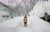 Size: 2048x1298 | Tagged: safe, photographer:pakapaka1993, autumn blaze, kirin, pony, g4, irl, japan, photo, plushie, snow, solo, winter