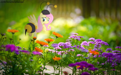 Size: 1920x1200 | Tagged: safe, artist:zombielandundead, fluttershy, pegasus, pony, g4, animal costume, bee costume, clothes, costume, flower, flutterbee, irl, photo, ponies in real life