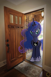 Size: 2003x2994 | Tagged: safe, artist:zombielandundead, princess luna, alicorn, pony, g4, 2016, door, female, high res, irl, mare, photo, ponies in real life