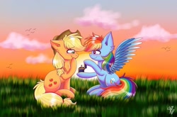 Size: 1353x895 | Tagged: safe, artist:galaxy swirl, applejack, rainbow dash, earth pony, pegasus, pony, g4, applejack's hat, blushing, cowboy hat, duo, duo female, female, grass, hat, lesbian, mare, marriage proposal, outdoors, ship:appledash, shipping, sitting, smiling, spread wings, sunset, wings