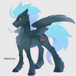 Size: 1024x1024 | Tagged: safe, artist:anoraknr, oc, oc only, oc:dark skroll, pegasus, pony, chest fluff, simple background, solo, unshorn fetlocks