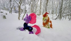 Size: 2048x1196 | Tagged: safe, photographer:pakapaka1993, autumn blaze, tempest shadow, kirin, pony, unicorn, g4, duo, irl, japan, photo, plushie, snow, tree, winter