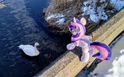 Size: 2048x1270 | Tagged: safe, photographer:pakapaka1993, twilight sparkle, alicorn, bird, pony, swan, g4, animal, irl, japan, photo, plushie, river, snow, solo, twilight sparkle (alicorn), water