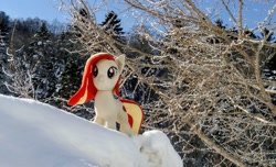 Size: 2048x1243 | Tagged: safe, photographer:pakapaka1993, oc, oc only, oc:poniko, earth pony, pony, earth pony oc, irl, japan, photo, plushie, snow, solo, tree, winter