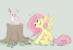 Size: 1200x814 | Tagged: safe, artist:melodylibris, fluttershy, pegasus, pony, rabbit, g4, animal, cute, female, green background, looking at each other, looking at someone, mare, open mouth, profile, question mark, shyabetes, simple background, sitting, solo, spread wings, that pony sure does love animals, tree stump, wings