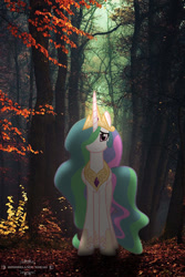 Size: 500x750 | Tagged: safe, artist:zombielandundead, princess celestia, alicorn, pony, g4, 2019, female, forest, irl, looking at you, mare, photo, ponies in real life, solo