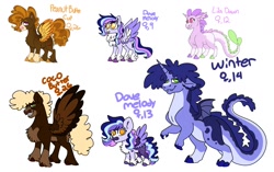 Size: 1694x1067 | Tagged: safe, artist:jinx32297, oc, oc only, oc:coco butter, oc:dove melody, oc:lila dawn, oc:peanut butter cup, oc:winter, dracony, hybrid, pegasus, pony, female, filly, foal, interspecies offspring, male, offspring, parent:cheese sandwich, parent:pinkie pie, parent:princess cadance, parent:rarity, parent:shining armor, parent:spike, parents:cheesepie, parents:shiningcadance, parents:sparity, simple background, stallion, updated design, white background