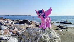 Size: 2048x1180 | Tagged: safe, photographer:pakapaka1993, twilight sparkle, alicorn, pony, g4, beach, irl, japan, ocean, photo, plushie, rock, solo, twilight sparkle (alicorn), water