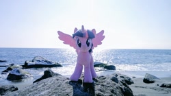 Size: 1024x575 | Tagged: safe, photographer:pakapaka1993, twilight sparkle, alicorn, pony, g4, beach, irl, japan, ocean, photo, plushie, rock, solo, twilight sparkle (alicorn), water