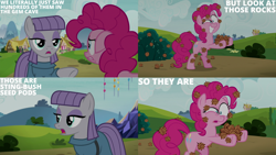 Size: 1280x720 | Tagged: safe, edit, edited screencap, editor:quoterific, screencap, maud pie, pinkie pie, earth pony, pony, g4, rock solid friendship, season 7, bipedal, duo, female, floppy ears, mare, open mouth, shrunken pupils, twilight's castle