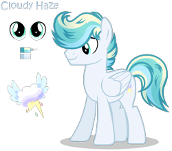 Size: 2040x1784 | Tagged: safe, artist:starshinestellaryt, oc, oc only, oc:cloudy haze, pegasus, pony, folded wings, full body, hooves, male, multicolored mane, multicolored tail, offspring, parent:sky stinger, parent:vapor trail, parents:vaporsky, pegasus oc, reference sheet, shadow, show accurate, simple background, smiling, solo, stallion, standing, tail, transparent background, wings