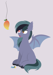 Size: 2727x3885 | Tagged: safe, artist:samsailz, oc, oc only, oc:scrimmy, bat pony, pony, :o, bait, bat pony oc, bat wings, ear fluff, food, full body, gray background, herbivore, heterochromia, high res, hooves, lineless, looking at something, mango, open mouth, reaction image, signature, simple background, sitting, solo, spread wings, string, tail, this is bait, unshorn fetlocks, wings