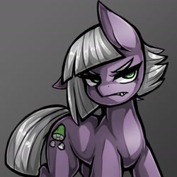 Size: 1543x1543 | Tagged: safe, artist:kyouman1010, limestone pie, earth pony, pony, g4, angry, cute, female, gradient background, gritted teeth, grumpy, limabetes, limestone pie is not amused, looking at you, mare, one ear down, solo