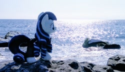 Size: 1024x590 | Tagged: safe, photographer:pakapaka1993, coloratura, earth pony, pony, g4, beach, irl, japan, ocean, photo, plushie, rock, solo, water