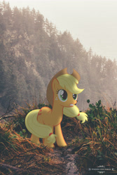 Size: 3456x5184 | Tagged: safe, artist:redpandapony, artist:zombielandundead, applejack, earth pony, pony, g4, absurd resolution, applejack's hat, cowboy hat, female, hat, irl, mare, photo, ponies in real life, solo