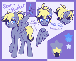 Size: 2500x2000 | Tagged: safe, artist:fuzzystarart, oc, oc only, oc:star hunter, pegasus, pony, blue eyes, cutie mark, female, freckles, hairpin, high res, mare, ponytail, reference sheet, smiling, solo, text, wings