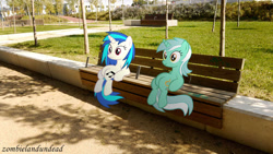 Size: 1000x562 | Tagged: safe, artist:zombielandundead, dj pon-3, lyra heartstrings, vinyl scratch, pony, unicorn, g4, 2014, bench, duo, female, irl, mare, photo, ponies in real life, sitting, sitting lyra