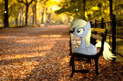 Size: 2560x1691 | Tagged: safe, artist:zombielandundead, derpy hooves, pegasus, pony, g4, 2014, autumn, bench, female, irl, photo, ponies in real life, sitting, solo