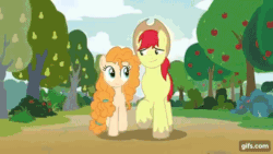 Size: 640x360 | Tagged: safe, screencap, bright mac, pear butter, earth pony, pony, g4, season 7, the perfect pear, animated, apple, apple tree, autumn, clothes, cowboy hat, duo, eyes closed, female, food, gif, gifs.com, hat, leaves, looking at each other, looking at someone, male, mare, pear tree, scarf, shared clothing, shared scarf, ship:brightbutter, shipping, smiling, smiling at each other, snow, stallion, straight, striped scarf, time-lapse, tree, walking, winter