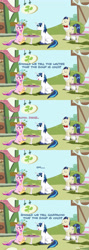 Size: 1920x5400 | Tagged: safe, artist:chainchomp2 edits, artist:cloudy glow, artist:wissle, horte cuisine, princess cadance, savoir fare, shining armor, alicorn, earth pony, pony, unicorn, g4, comic, eating, female, food, full comic, gazpacho, high res, house, magic, male, mare, misunderstanding, ponyville, raised eyebrow, seriously, shining armor is a goddamn moron, sitting, sound at source, soup, spoon, stallion, table, text, vector, waiter, wat, youtube link