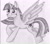 Size: 2308x2040 | Tagged: safe, artist:okaboka, twilight sparkle, alicorn, pony, g4, 2013, female, high res, mare, pencil drawing, solo, traditional art, twilight sparkle (alicorn)