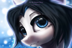 Size: 3244x2160 | Tagged: safe, artist:oriana80, oc, oc only, pony, high res, solo