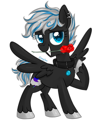 Size: 2256x2657 | Tagged: safe, artist:kaikururu, oc, oc only, pegasus, pony, collar, ear piercing, earring, eyelashes, flower, flower in mouth, high res, hoof polish, jewelry, mouth hold, pegasus oc, piercing, raised hoof, rose, simple background, solo, transparent background, wings