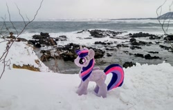 Size: 2048x1302 | Tagged: safe, photographer:pakapaka1993, twilight sparkle, alicorn, pony, g4, irl, japan, ocean, photo, plushie, snow, solo, twilight sparkle (alicorn), water, winter