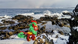 Size: 2048x1152 | Tagged: safe, photographer:pakapaka1993, cinder glow, summer flare, kirin, pony, g4, irl, japan, ocean, photo, plushie, snow, solo, water, winter