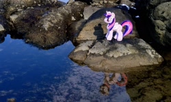 Size: 2048x1220 | Tagged: safe, photographer:pakapaka1993, twilight sparkle, alicorn, pony, g4, irl, japan, photo, plushie, reflection, rock, solo, twilight sparkle (alicorn), water