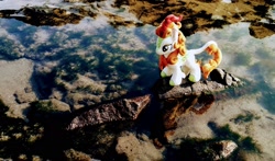 Size: 2048x1207 | Tagged: safe, photographer:pakapaka1993, autumn blaze, kirin, pony, g4, irl, japan, photo, plushie, reflection, rock, solo, water