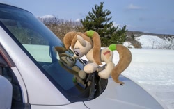 Size: 2048x1290 | Tagged: safe, photographer:pakapaka1993, pony, car, irl, japan, photo, plushie, reflection, snow, solo, tree, winter