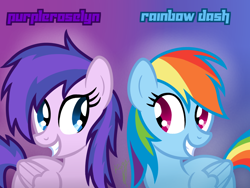 Size: 1024x768 | Tagged: safe, artist:kimmyartmlp, rainbow dash, oc, oc:purple roselyn, pegasus, pony, g4, duo, female, mare