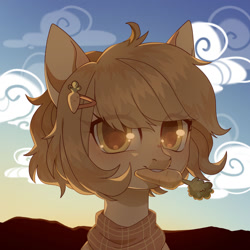 Size: 1024x1024 | Tagged: safe, artist:miioko, oc, oc only, earth pony, pony, bust, carrot, clothes, eye clipping through hair, food, outdoors, scarf, solo