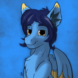 Size: 1668x1668 | Tagged: safe, artist:levinerex, oc, oc only, oc:helmie, pegasus, pony, blue background, bust, chest fluff, ear fluff, male, portrait, simple background, stallion, yellow eyes