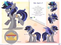 Size: 3000x2250 | Tagged: safe, artist:liquorice_sweet, oc, pony, unicorn, high res, reference sheet, solo