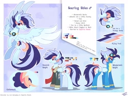 Size: 3000x2250 | Tagged: safe, artist:liquorice_sweet, oc, pegasus, pony, high res, reference sheet, solo