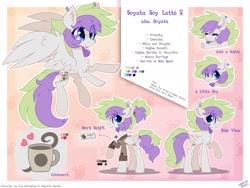 Size: 3000x2250 | Tagged: safe, artist:liquorice_sweet, oc, pegasus, pony, high res, reference sheet, solo