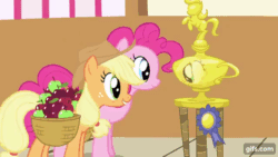 Size: 640x360 | Tagged: safe, screencap, applejack, pinkie pie, earth pony, pony, applebuck season, season 1, animated, apple, applejack's hat, basket, cowboy hat, duo, female, food, gif, gifs.com, hat, mare, open mouth, open smile, ponyville town hall, reflection, silly, silly pony, smiling, trophy, who's a silly pony