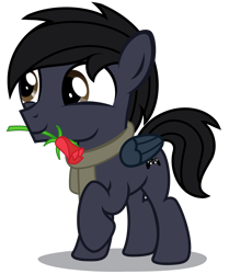 Size: 2670x3200 | Tagged: safe, artist:strategypony, oc, oc only, oc:darkdj, pegasus, pony, clothes, colt, flower, flower in mouth, foal, folded wings, full body, high res, hooves, male, mouth hold, pegasus oc, raised hoof, scarf, shadow, show accurate, simple background, smiling, solo, standing, tail, transparent background, wings