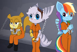 Size: 1600x1067 | Tagged: safe, artist:theblacksunking, rainbow dash, lombax, anthro, g4, bound wings, chained, clothes, crossover, cuffed, jumpsuit, prison outfit, prisoner, prisoner rd, ratchet and clank, rivet (r&c), sandy cheeks, shirt, sitting, spongebob squarepants, undershirt, wings