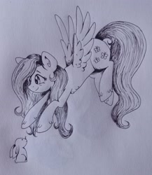 Size: 2742x3155 | Tagged: safe, artist:dreamy990, fluttershy, pony, rabbit, g4, animal, high res, monochrome, solo, traditional art